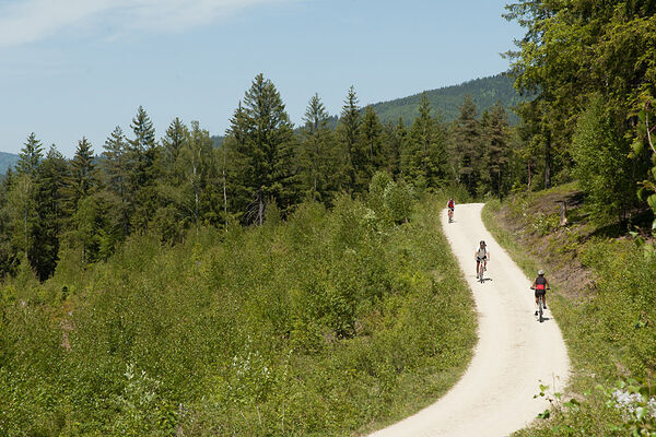 Radfahren im Arberland Bayern